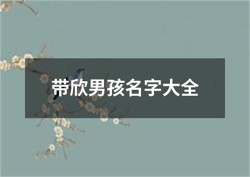 带欣男孩名字大全