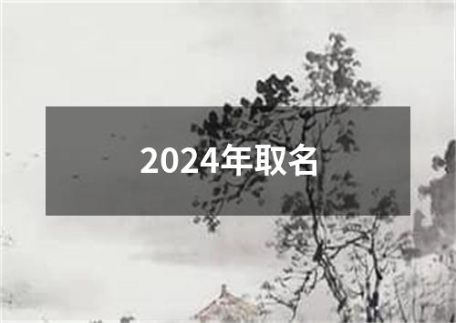 2024年取名