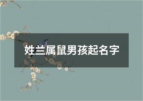 姓兰属鼠男孩起名字