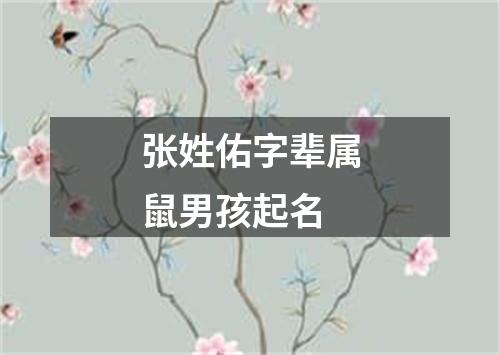 张姓佑字辈属鼠男孩起名