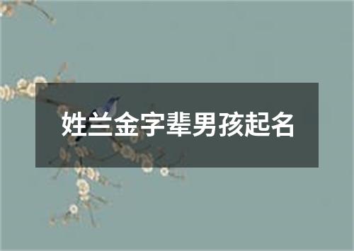 姓兰金字辈男孩起名