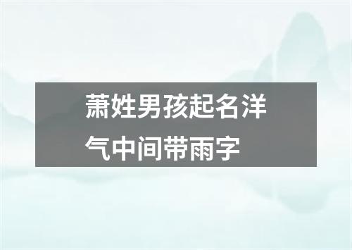 萧姓男孩起名洋气中间带雨字