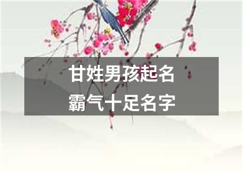 甘姓男孩起名霸气十足名字