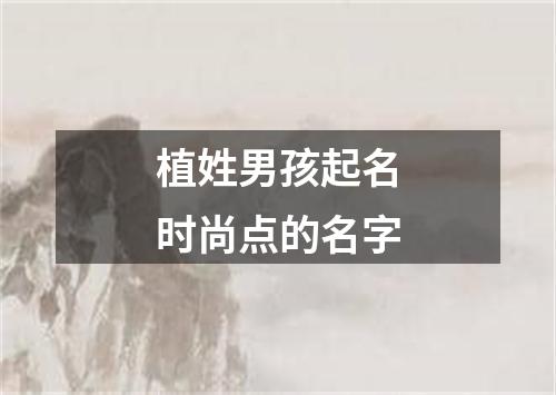 植姓男孩起名时尚点的名字