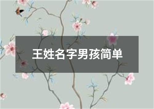 王姓名字男孩简单