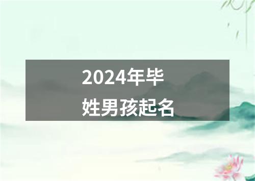 2024年毕姓男孩起名