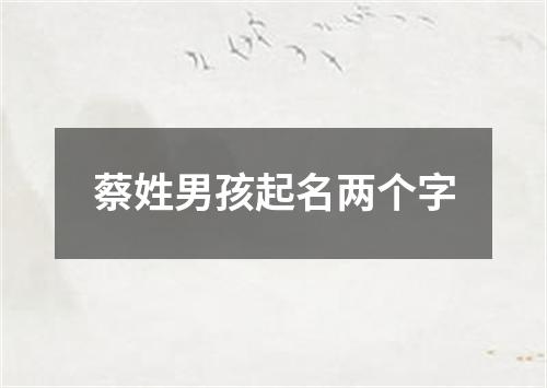 蔡姓男孩起名两个字