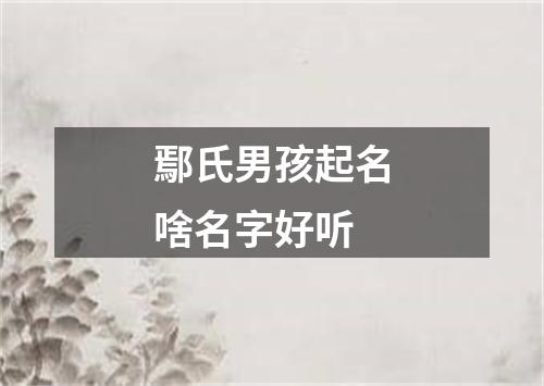 鄢氏男孩起名啥名字好听