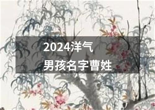 2024洋气男孩名字曹姓