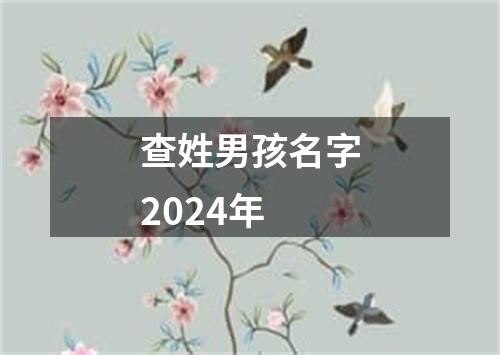 查姓男孩名字2024年