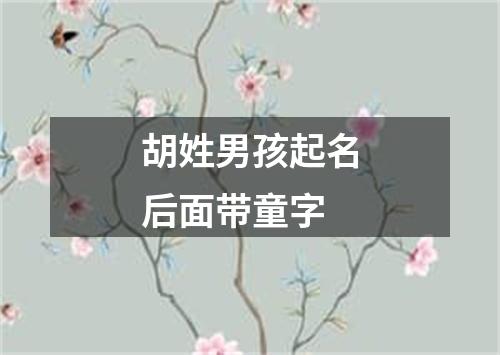 胡姓男孩起名后面带童字