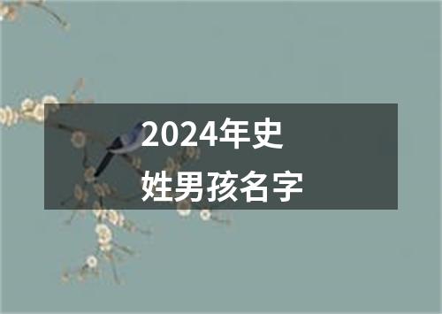 2024年史姓男孩名字