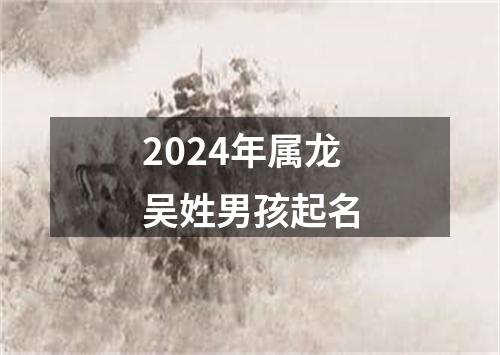 2024年属龙吴姓男孩起名