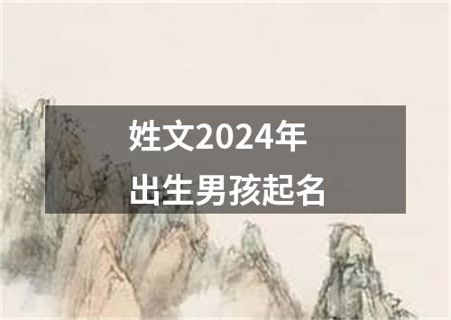 姓文2024年出生男孩起名