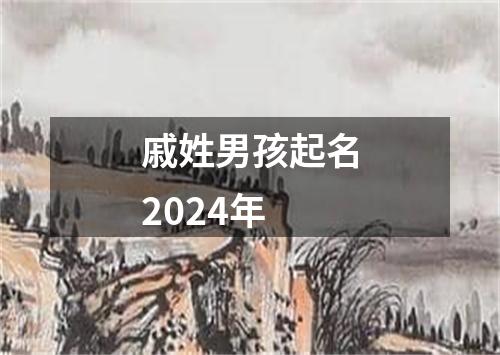 戚姓男孩起名2024年