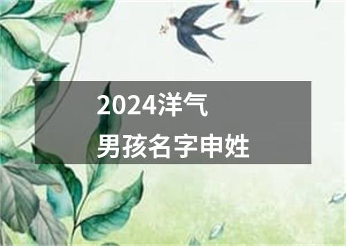 2024洋气男孩名字申姓