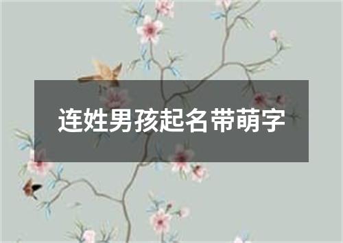 连姓男孩起名带萌字