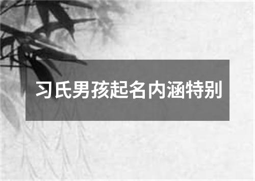 习氏男孩起名内涵特别