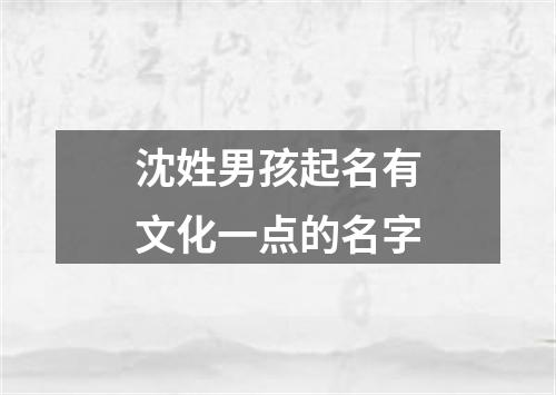 沈姓男孩起名有文化一点的名字