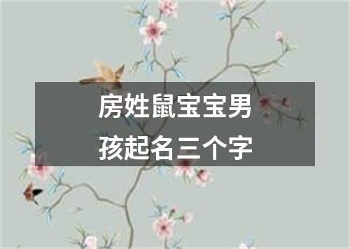 房姓鼠宝宝男孩起名三个字