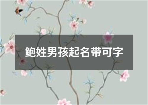 鲍姓男孩起名带可字