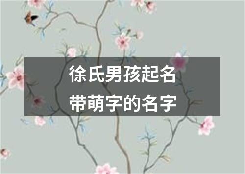 徐氏男孩起名带萌字的名字