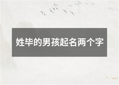 姓毕的男孩起名两个字