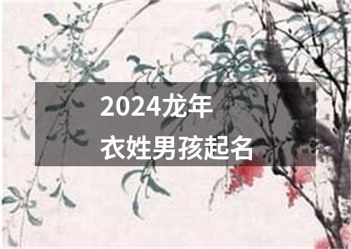 2024龙年衣姓男孩起名