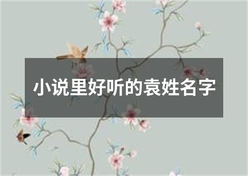 小说里好听的袁姓名字