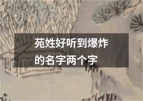 苑姓好听到爆炸的名字两个字