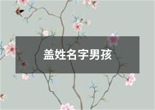 盖姓名字男孩