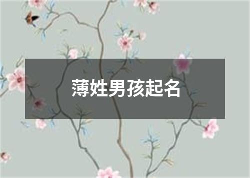 薄姓男孩起名