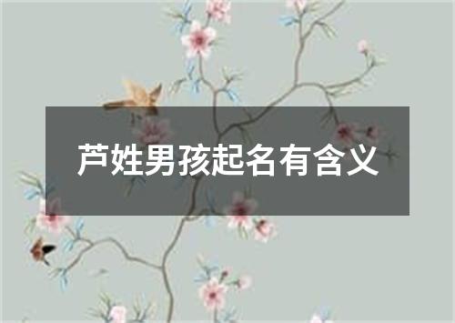 芦姓男孩起名有含义