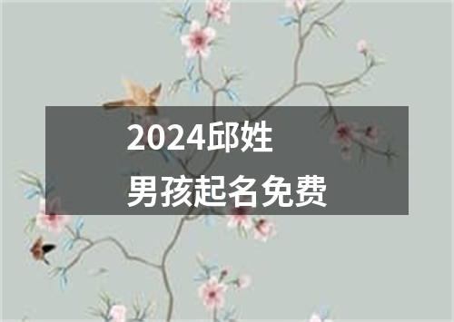 2024邱姓男孩起名免费