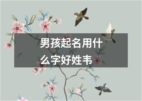 男孩起名用什么字好姓韦