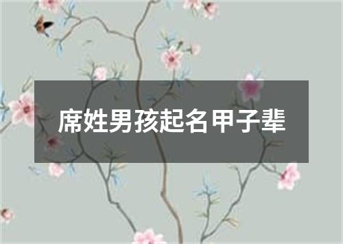 席姓男孩起名甲子辈