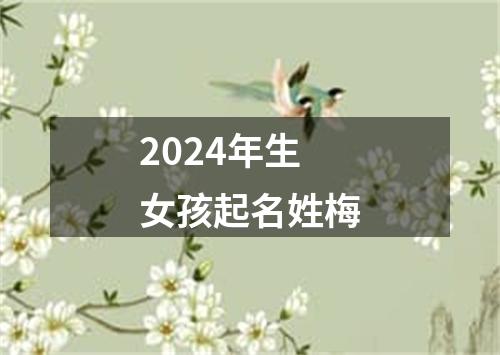 2024年生女孩起名姓梅