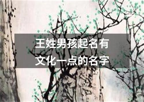 王姓男孩起名有文化一点的名字