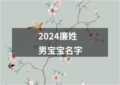 2024廉姓男宝宝名字