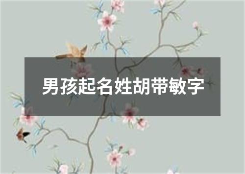 男孩起名姓胡带敏字