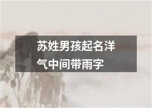 苏姓男孩起名洋气中间带雨字