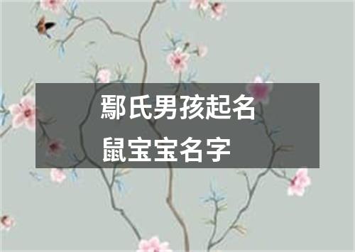 鄢氏男孩起名鼠宝宝名字