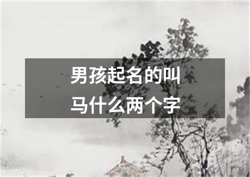 男孩起名的叫马什么两个字