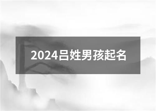 2024吕姓男孩起名