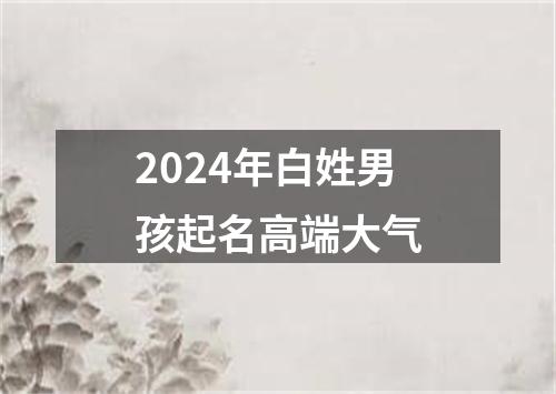 2024年白姓男孩起名高端大气