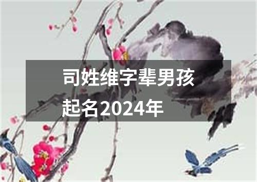 司姓维字辈男孩起名2024年