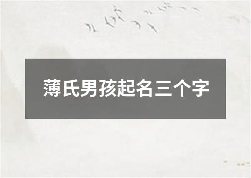 薄氏男孩起名三个字