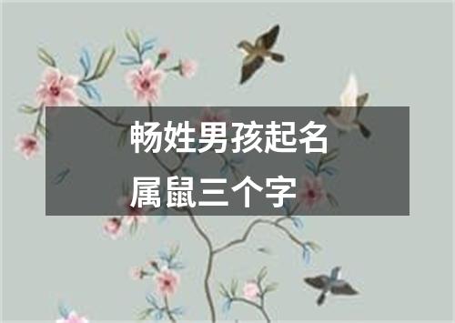 畅姓男孩起名属鼠三个字