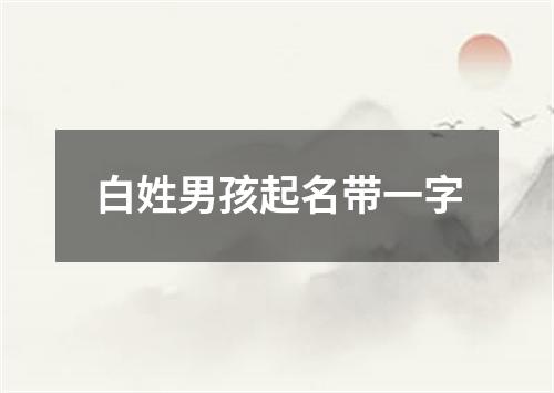 白姓男孩起名带一字