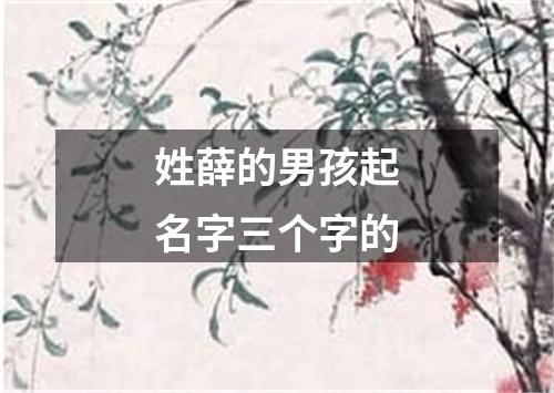 姓薛的男孩起名字三个字的